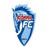 Daejeon Korail FC: The Rising Star of South Korean Football