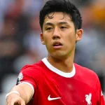 Wataru Endo